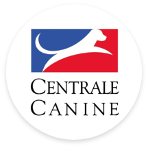Centrale-canine