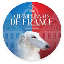 Champion-france